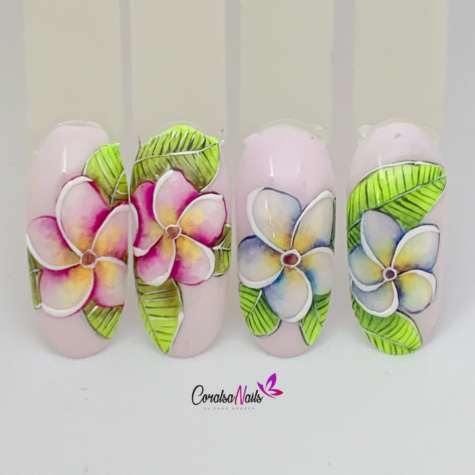 Diseños de plumeria en rosa y azul