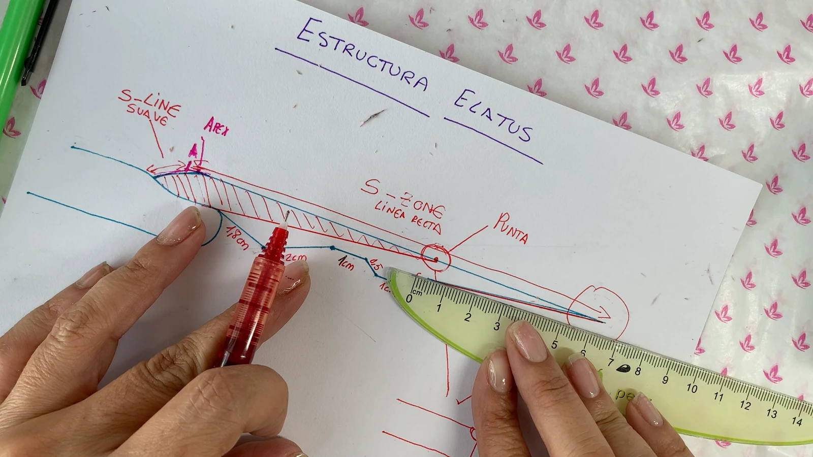 Esquema de Elatus sobre papel con perfil, referencias de punta y anotaciones de la clase