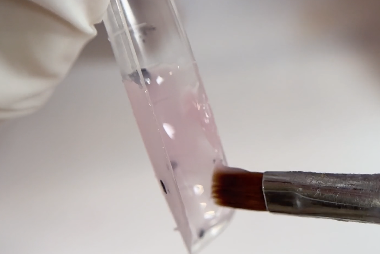 Pincel distribuyendo producto rosa en el lateral interior de una forma superior transparente.